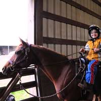 Riley arabian Beginner intermediate advanced lesson trail gaming horse 4H